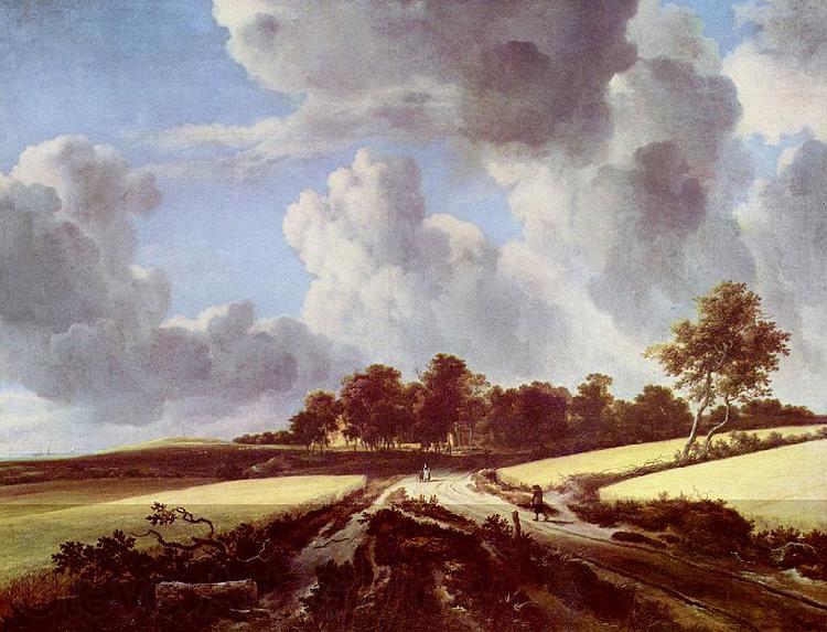 Jacob Isaacksz. van Ruisdael Weizenfelder France oil painting art